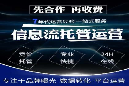 SEM优化策略：实战案例解析